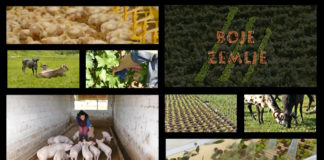 Krenulo emitiranje nove poljoprivredne emisije Boje zemlje