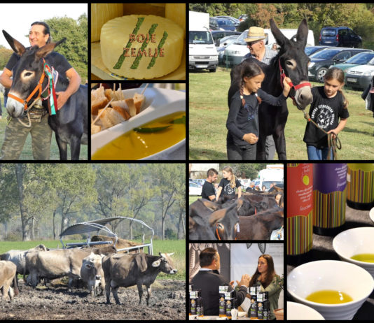 Poljoprivredna emisija BOJE ZEMLJE 17.11.2018.