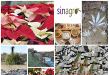 Poljoprivredna emisija BOJE ZEMLJE 02.12.2018.