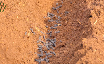 Gnojidba poljoprivrednih kultura