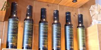 Putujući festival istarskih proizvoda: Uljara Vodnjan