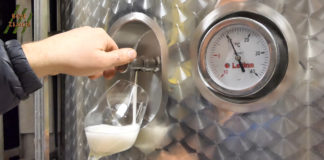 Proizvodnja pjenušca u Istri