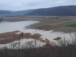 Poplavljene poljoprivredne površine u Istri