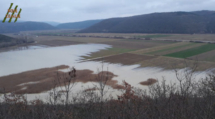 Poplavljene poljoprivredne površine u Istri
