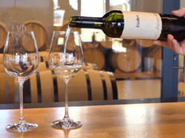 Putujući festival istarskih proizvoda: Vina Medea