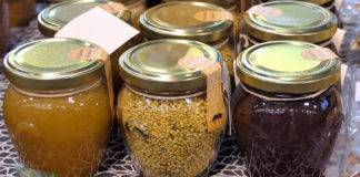 Bliže se 15. Dani meda, u petak i subotu svi putevi vode u Pazin