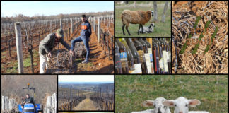 Poljoprivredna emisija Boje zemlje 9.3.2019.