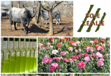 Poljoprivredna emisija Boje zemlje 23.3.2019.