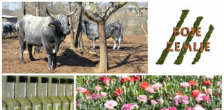 Poljoprivredna emisija Boje zemlje 23.3.2019.