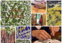 Poljoprivredna emisija Boje zemlje 6.4.2019.