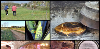 Poljoprivredna emisija BOJE ZEMLJE 20.4.2019.