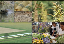 Poljoprivredna emisija Boje zemlje 4.5.2019.