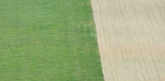 Dolina Mirne od bogatstva do danas; Mirna može više