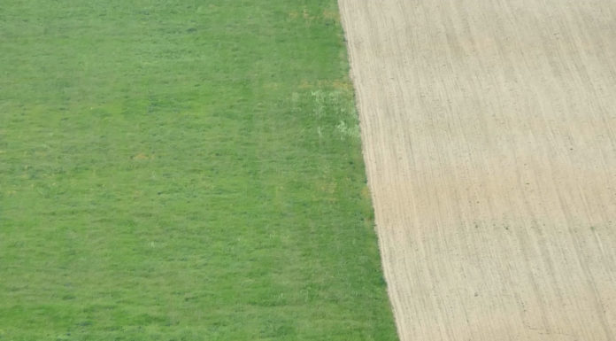 Dolina Mirne od bogatstva do danas; Mirna može više