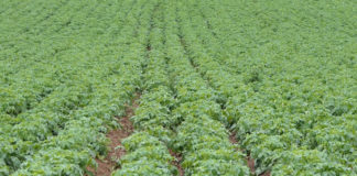 Ministarstvo poljoprivrede predstavilo prve mjere suzbijanja posljedica koronavirusa, jedanaest mjera u vrijednosti oko 350 milijuna kuna