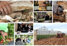 Poljoprivredna emisija Boje zemlje 18.5.2019.