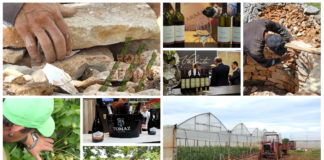 Poljoprivredna emisija Boje zemlje 18.5.2019.