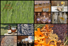 Poljoprivredna emisija Boje zemlje 15.6.2019.