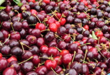 Kaldirski plac od fruti