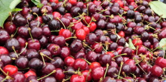 Kaldirski plac od fruti