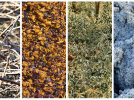 Održivo upravljanje rezidbenim ostacima i ostatkom iz poljoprivredne proizvodnje