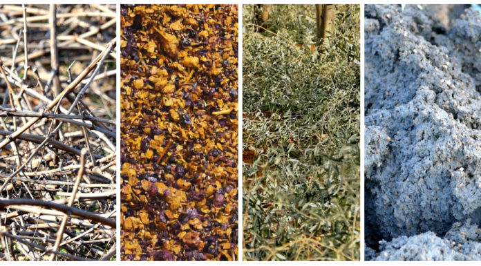 Otvoreni poziv za inovativne inicijative za povećanje upotrebe agrobiomase u ruralnim područjima