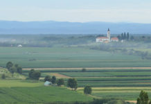 Poljoprivredna emisija BOJE ZEMLJE 19.10.2019.