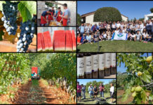 Poljoprivredna emisija BOJE ZEMLJE 5.10.2019.