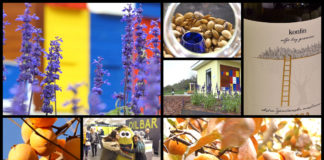 Poljoprivredna emisija BOJE ZEMLJE 16.11.2019.