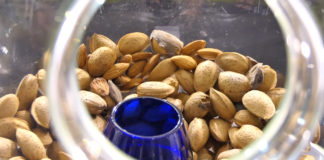 Dani mladog maslinovog ulja u Vodnjanu