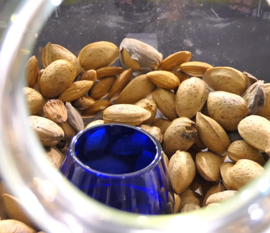 Dani mladog maslinovog ulja u Vodnjanu