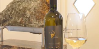 SIN AGRO PREDSTAVLJA: OPG Musizza