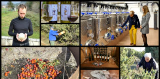 Poljoprivredna emisija BOJE ZEMLJE 14.12.2019.