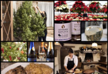 Poljoprivredna emisija BOJE ZEMLJE 28.12.2019.