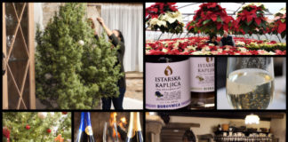 Poljoprivredna emisija BOJE ZEMLJE 28.12.2019.