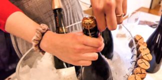 Treći Festival pjenušaca u Višnjanu