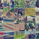 PREGLED 2019. GODINE U ISTRI – Poljoprivredna emisija Boje zemlje 11.1.2020.