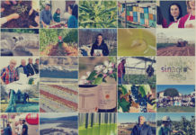 PREGLED 2019. GODINE U ISTRI – Poljoprivredna emisija Boje zemlje 11.1.2020.