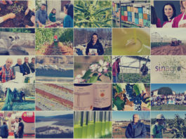 PREGLED 2019. GODINE U ISTRI – Poljoprivredna emisija Boje zemlje 11.1.2020.