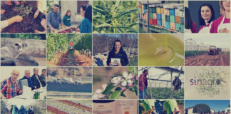 PREGLED 2019. GODINE U ISTRI – Poljoprivredna emisija Boje zemlje 11.1.2020.