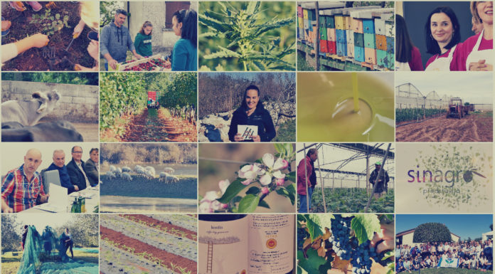 PREGLED 2019. GODINE U ISTRI – Poljoprivredna emisija Boje zemlje 11.1.2020.