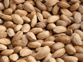 Badem, bajam, mendula, mandula