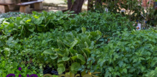 Agrarija SIN AGRO na usluzi svojim korisnicima