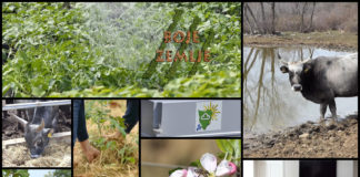 Poljoprivredna emisija BOJE ZEMLJE 2.5.2020.