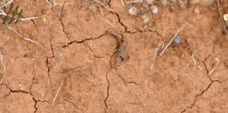 Što je travanj 2020. donio poljoprivrednicima?