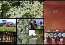 Poljoprivredna emisija BOJE ZEMLJE 16.5.2020.