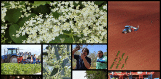 Poljoprivredna emisija BOJE ZEMLJE 16.5.2020.