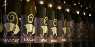 SIN AGRO PREDSTAVLJA: Vina Vivoda