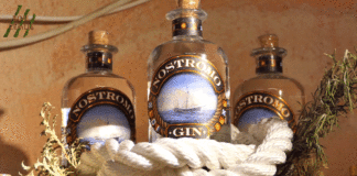 SIN AGRO PREDSTAVLJA: Vinarija i destilerija Rossi