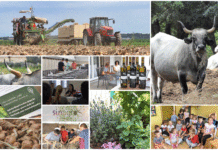 Poljoprivredna emisija BOJE ZEMLJE 27.6.2020.